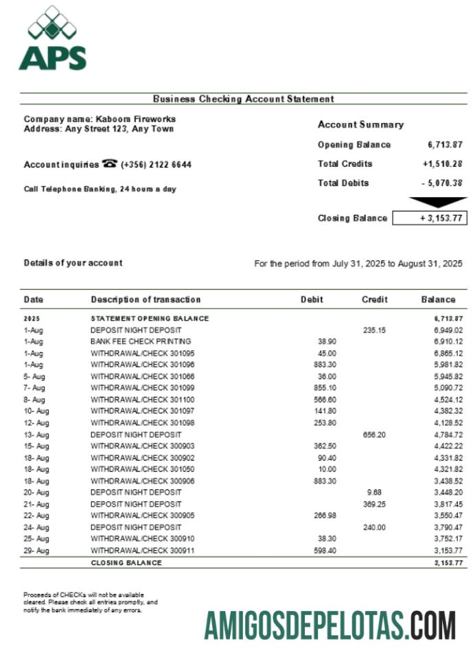 Em branco Maltese APS Business modelo de extrato de conta Word e PDF (1)